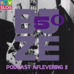 Het progressieve punkhol